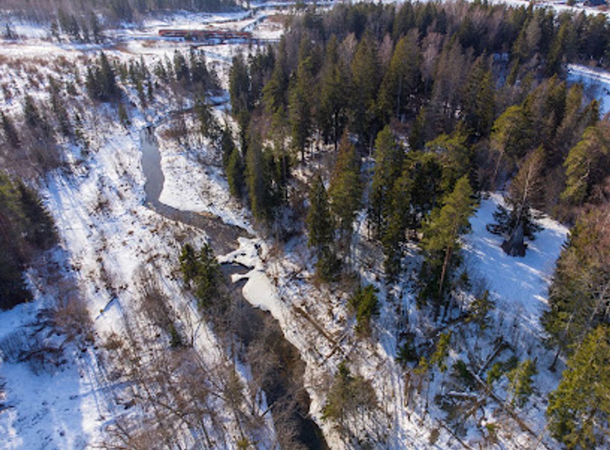 Background