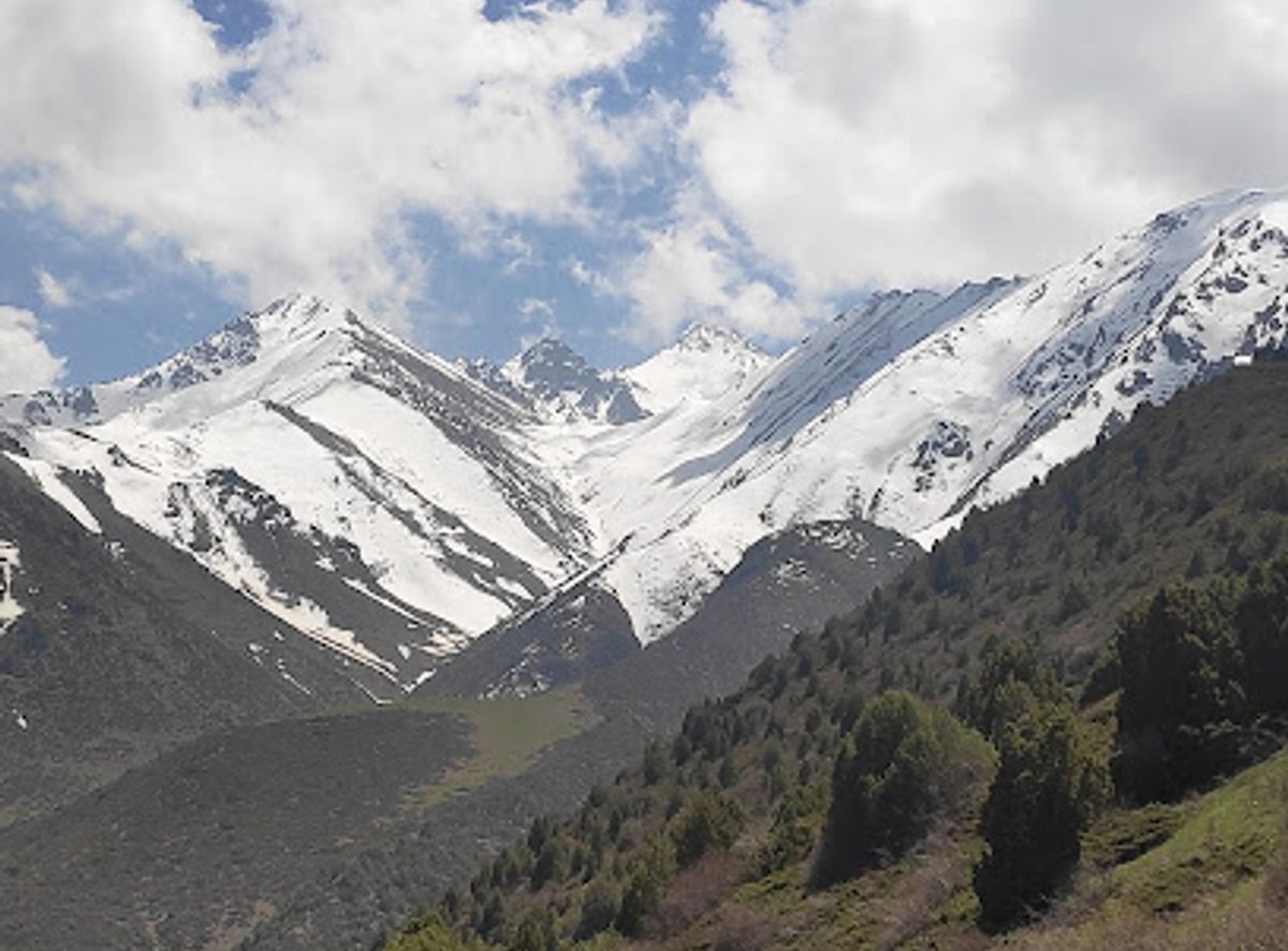 Background