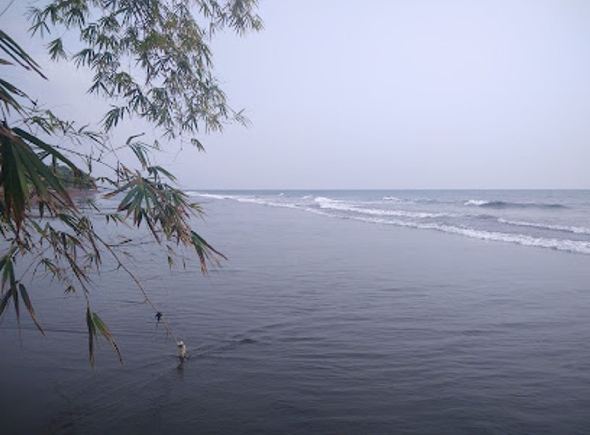 Background