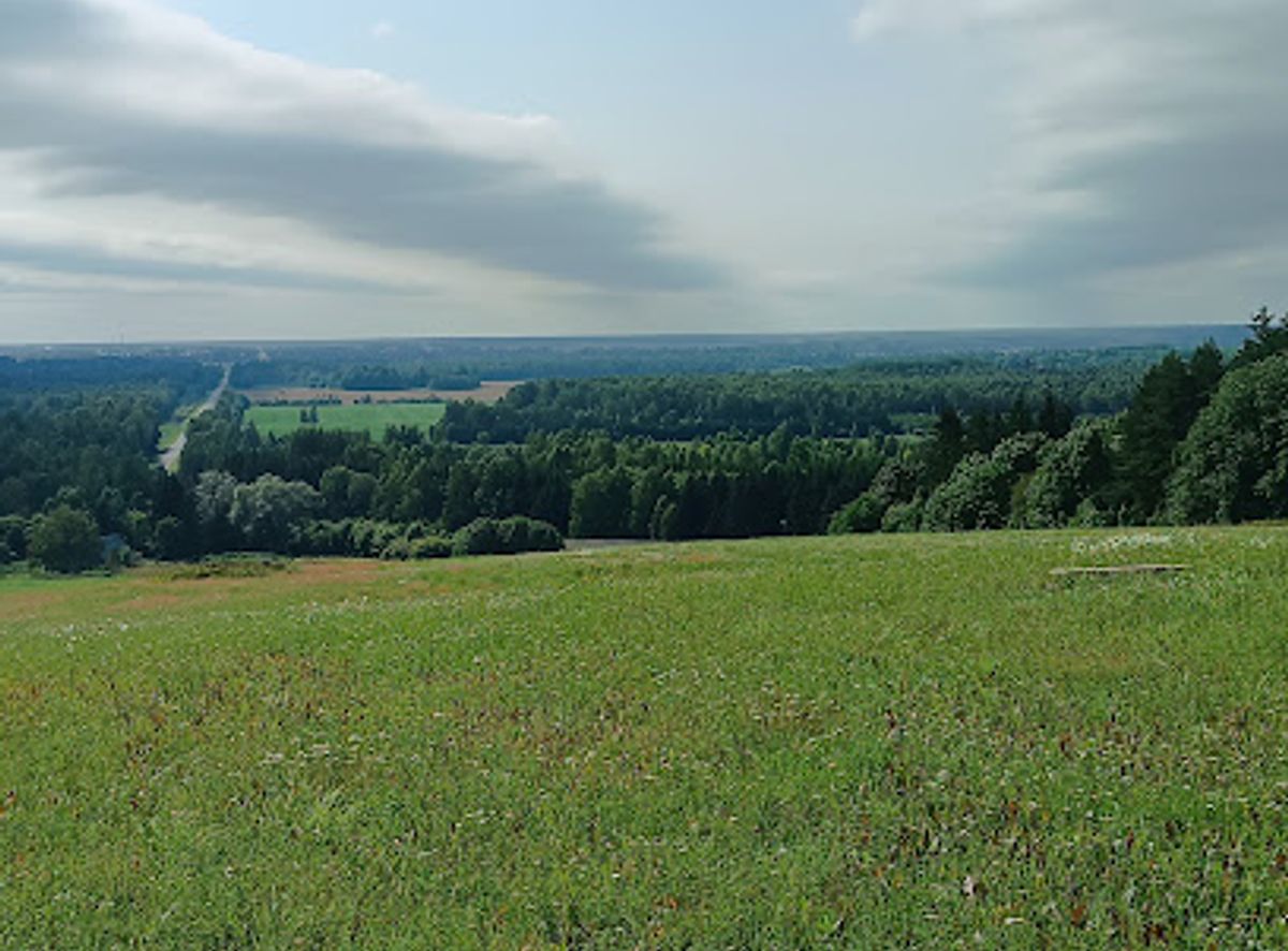 Background