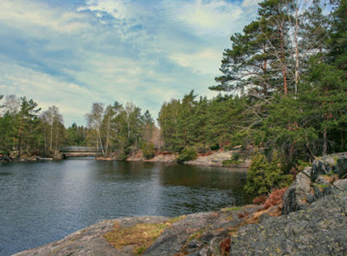 Background