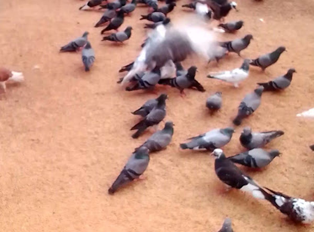 Background