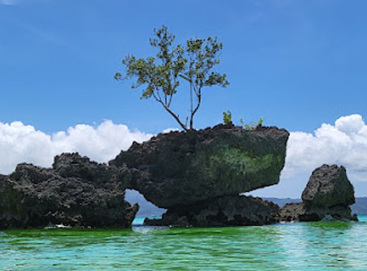 Background