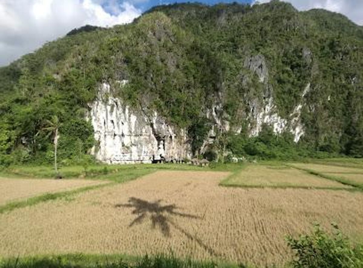 Background