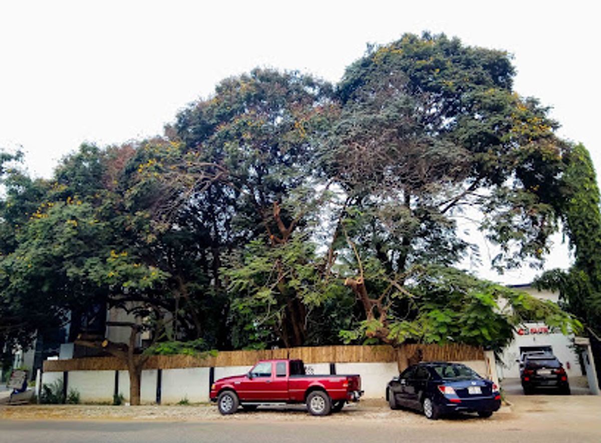 Background