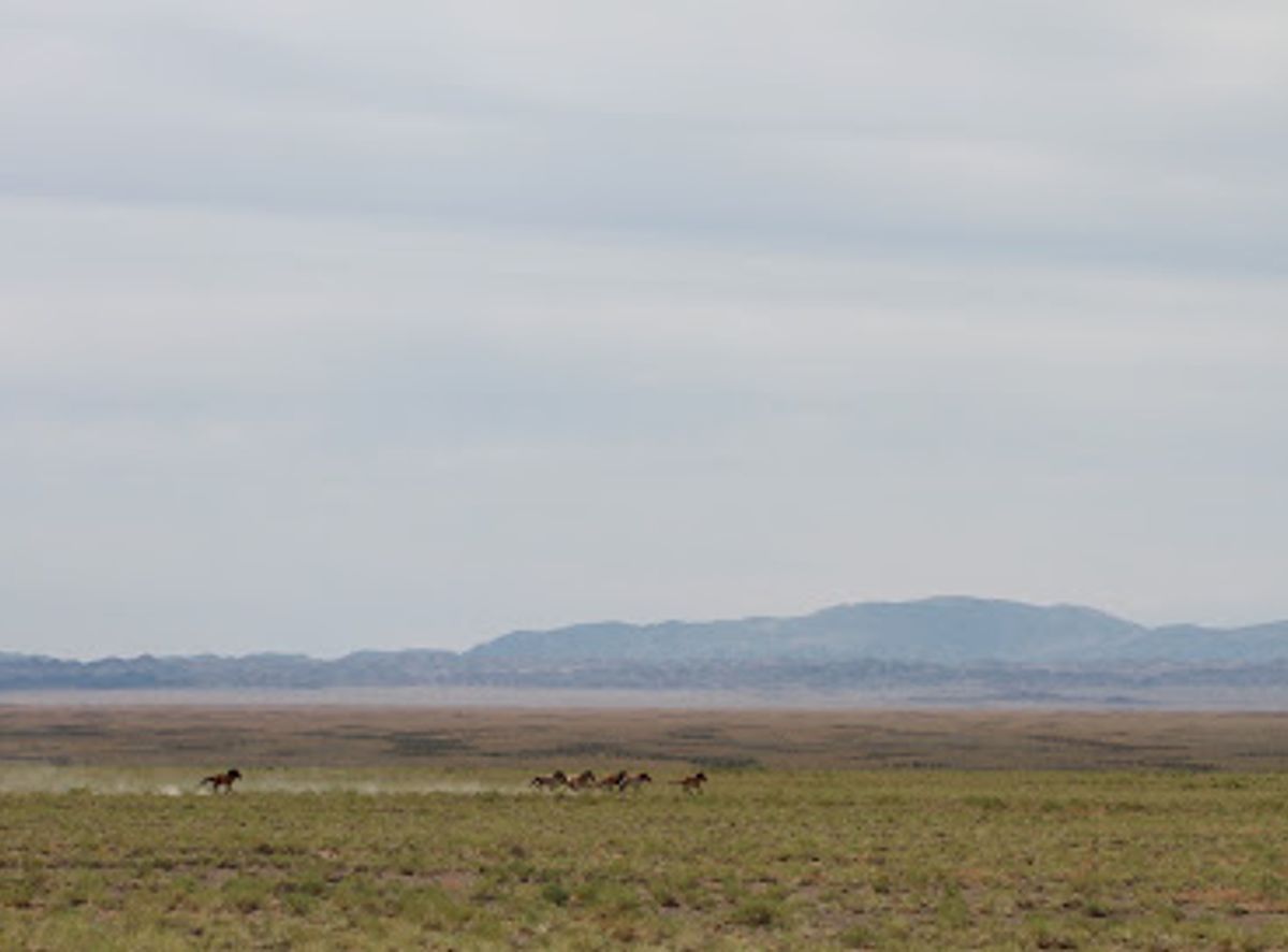 Background