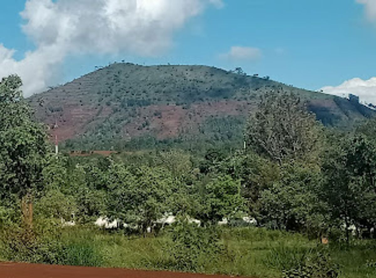 Background