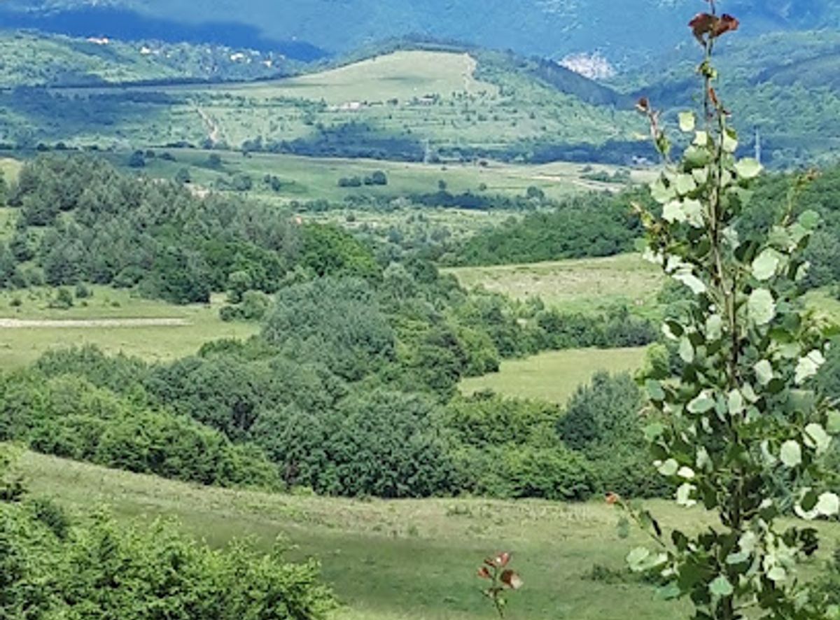 Background