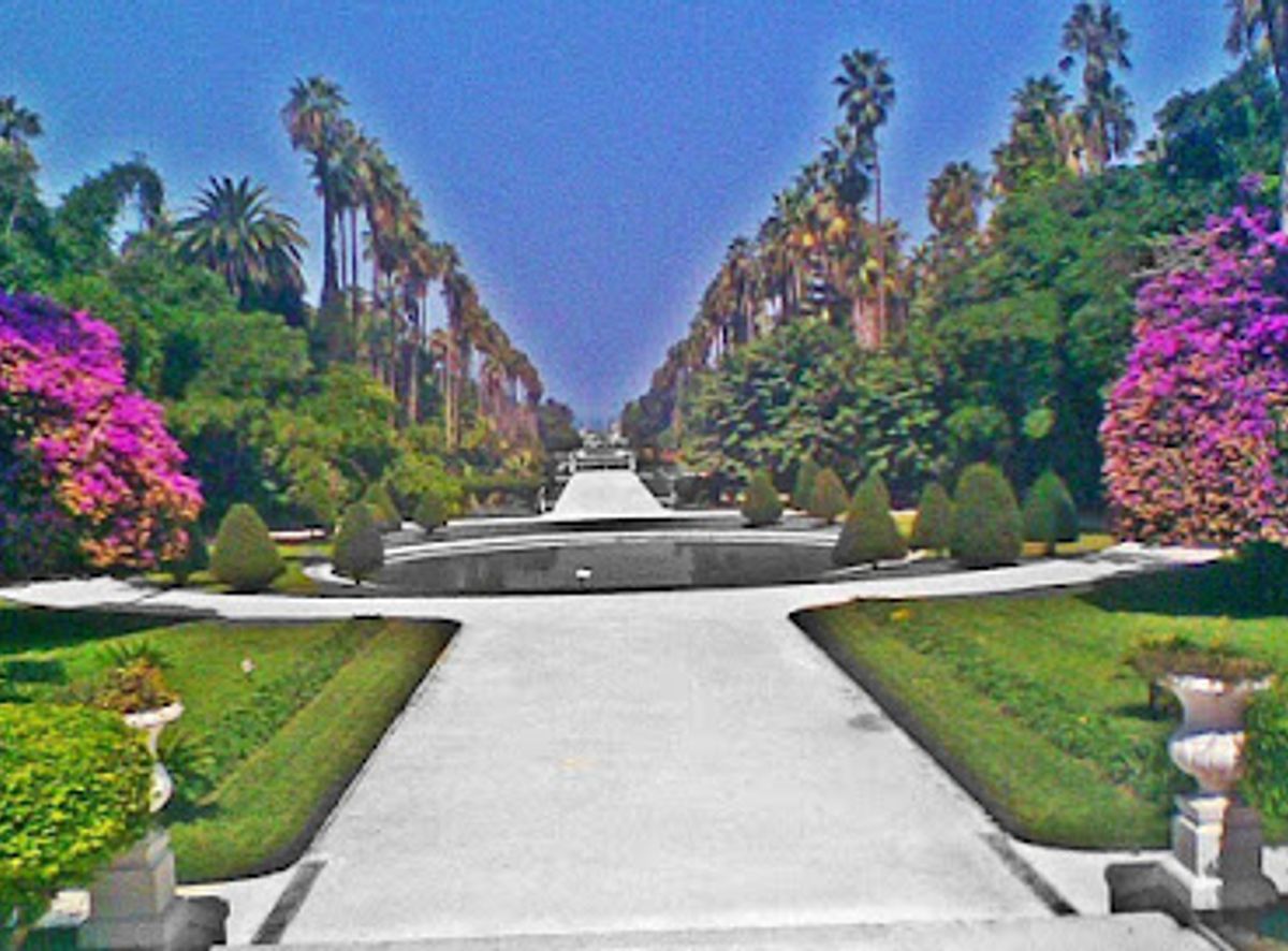 Background