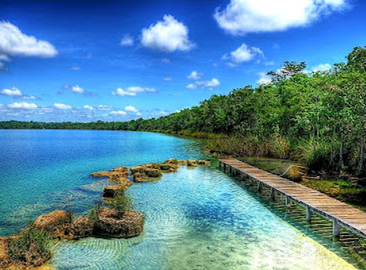 Background
