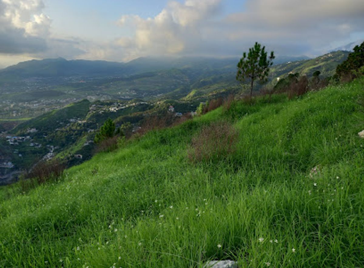 Background