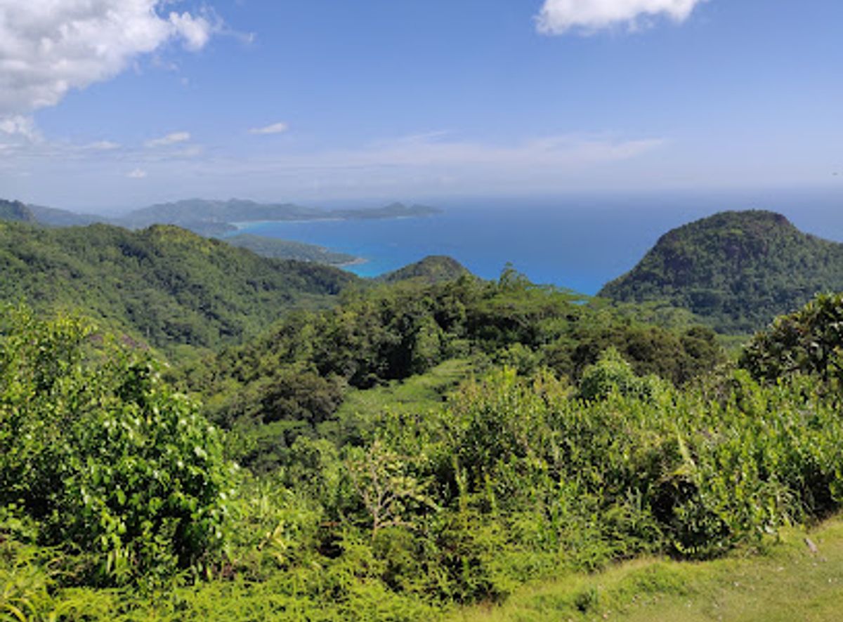 Background