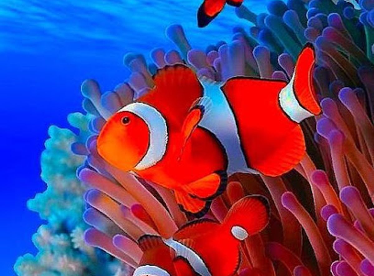 Background