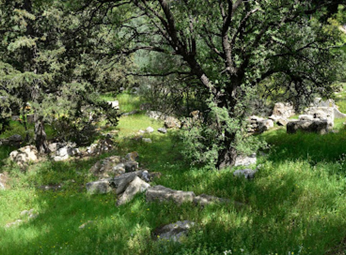 Background