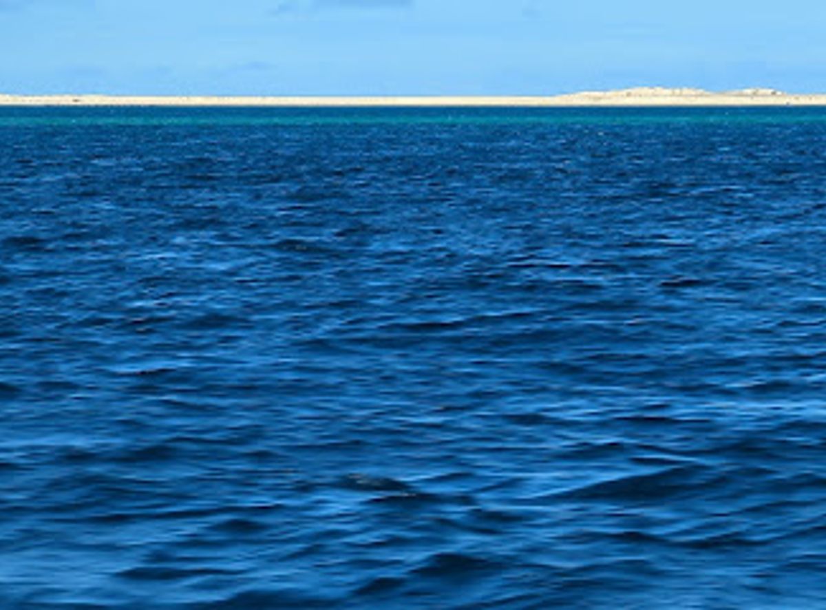 Background