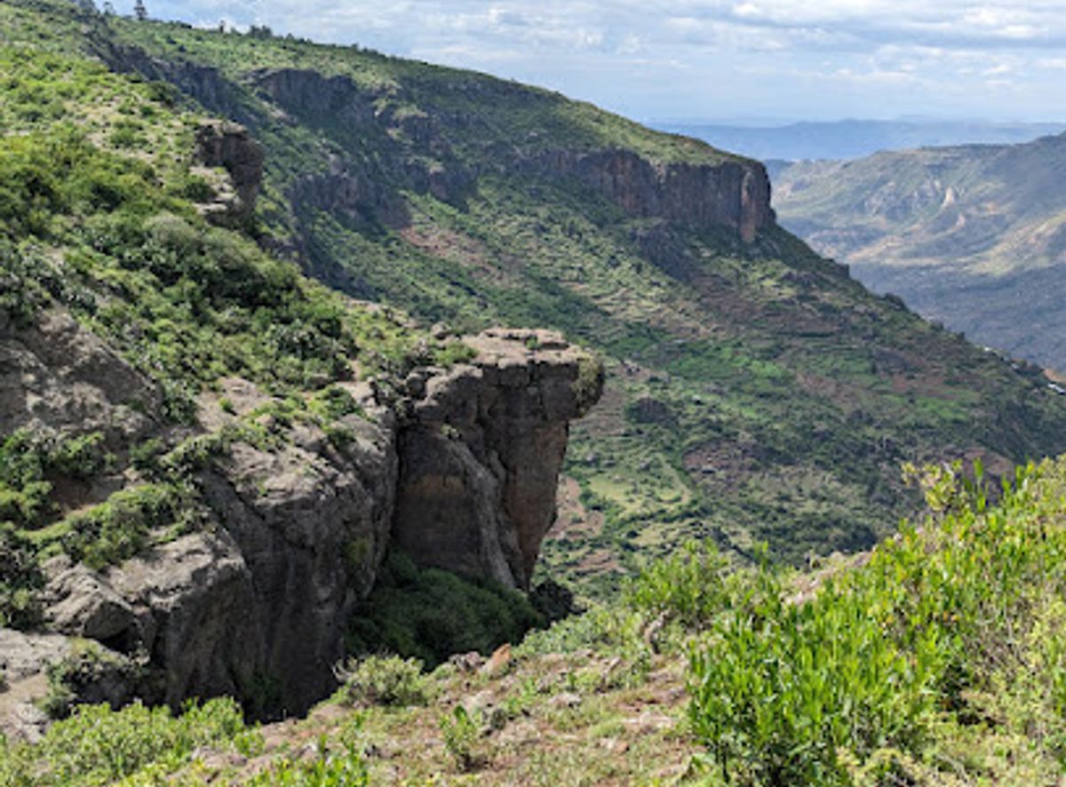 Background