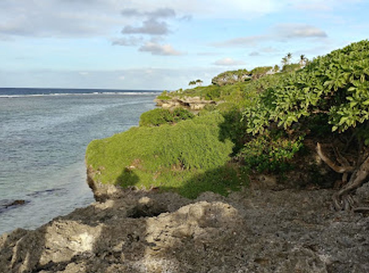 Background