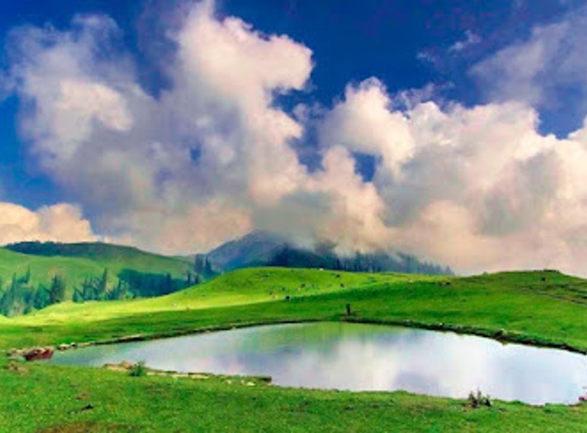 Background