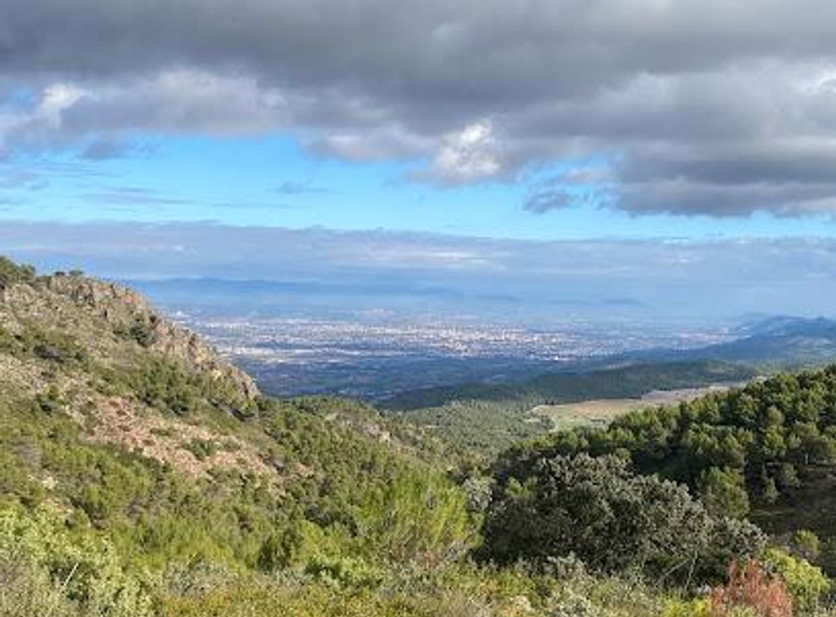Background