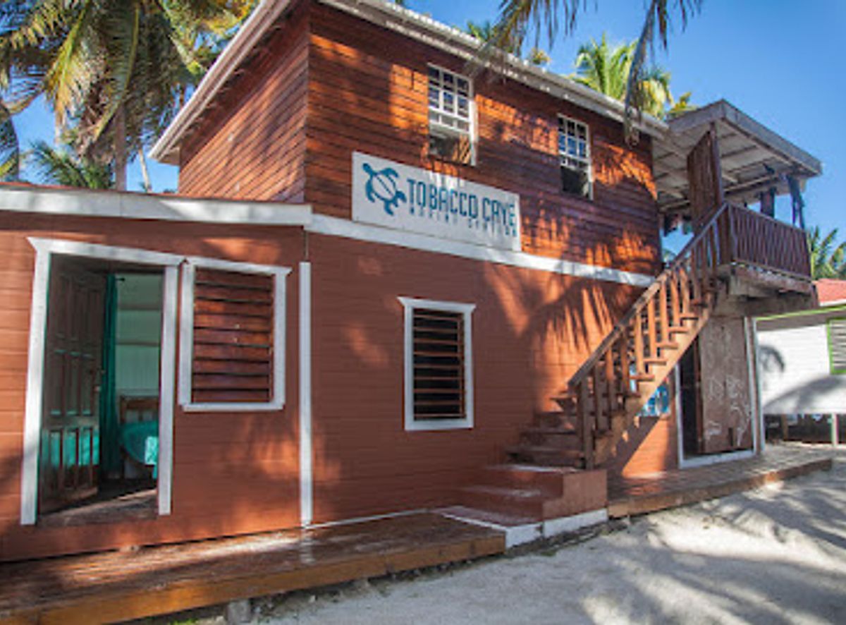 tobacco caye marine station The 10 best experiences near (2026 ranked) The Marine Station on Tobacco