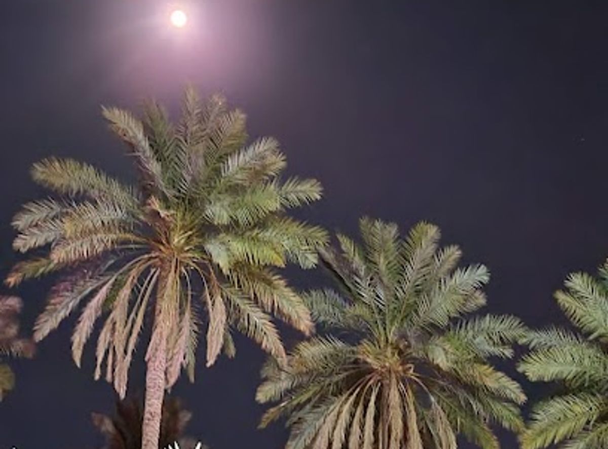 Background