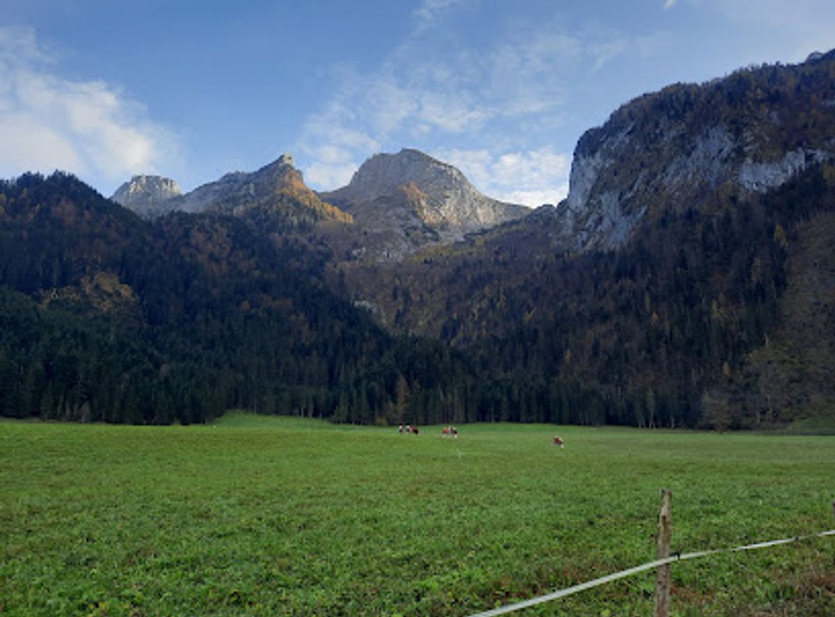 Background