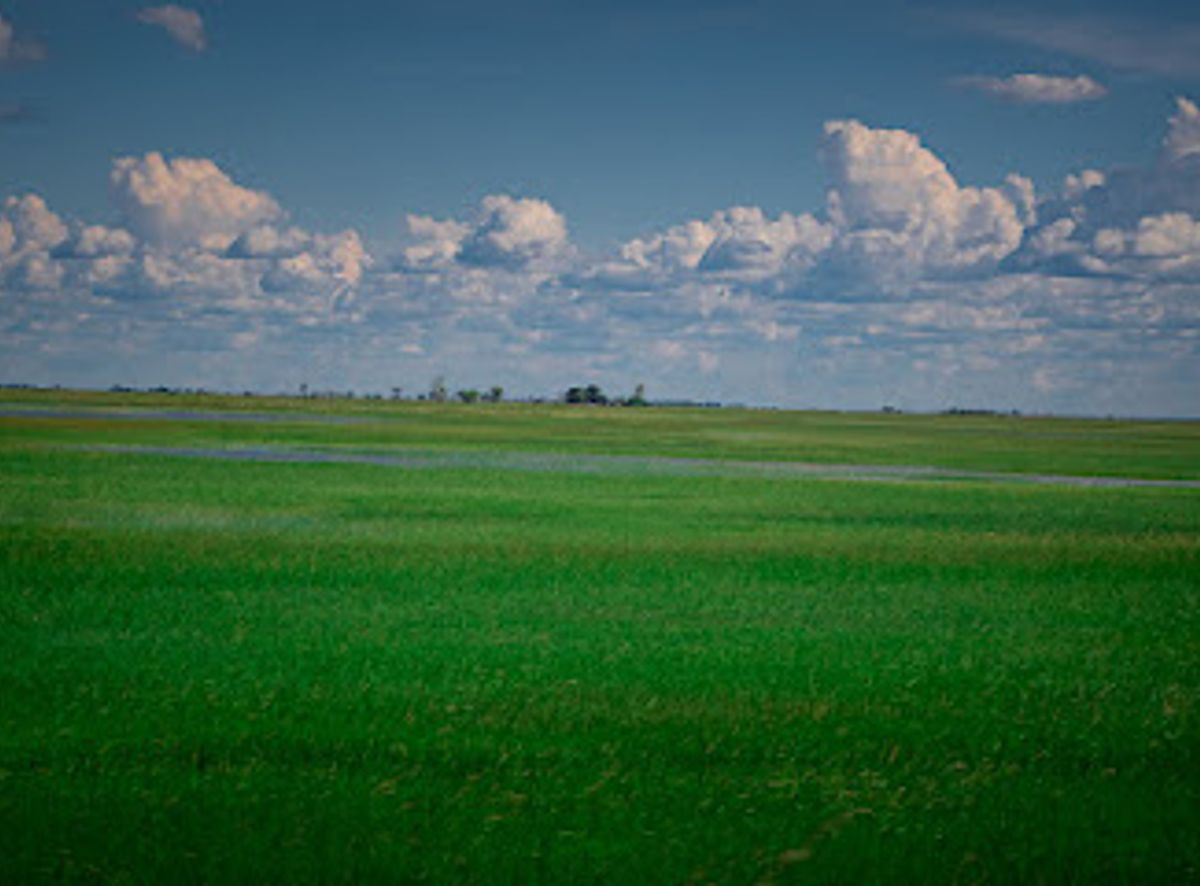 Background