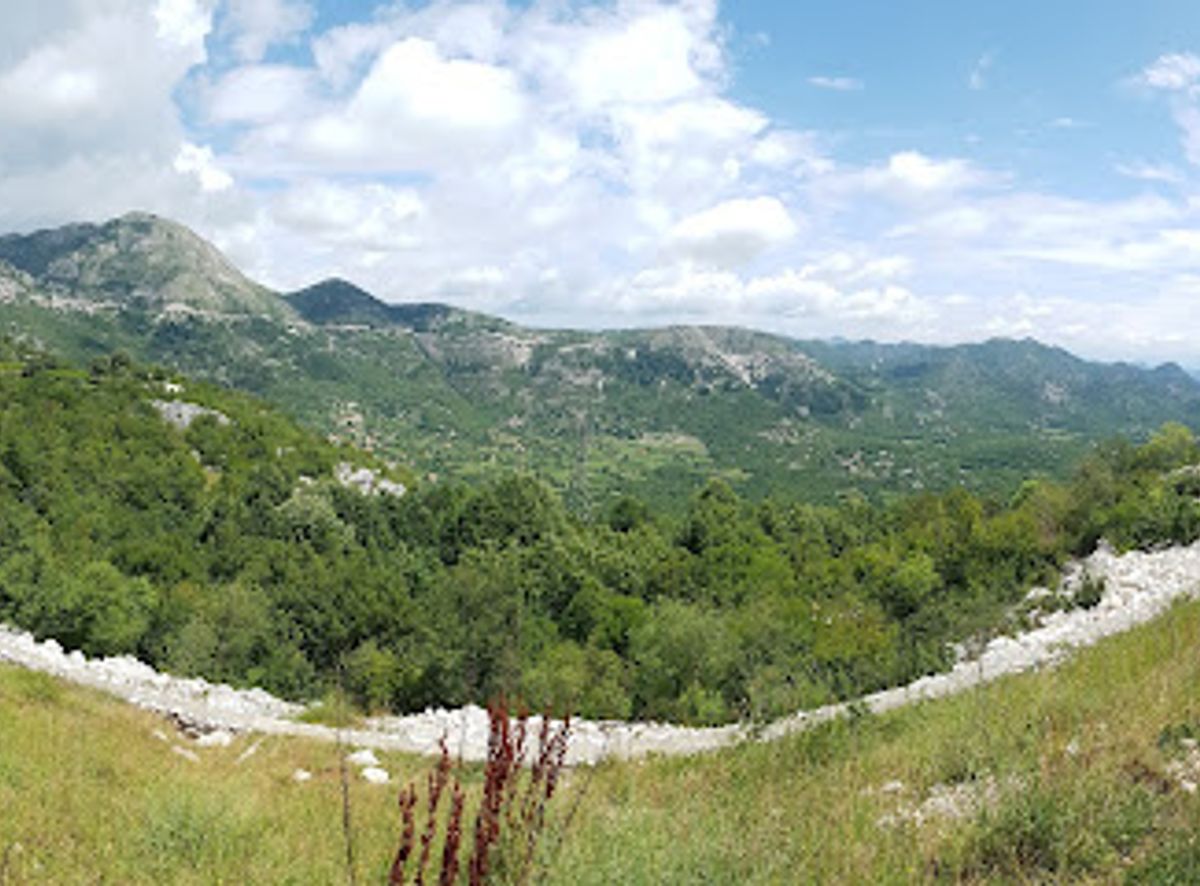 Background