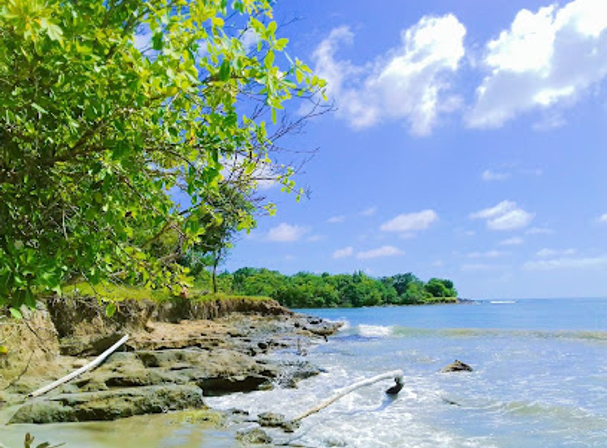 Background