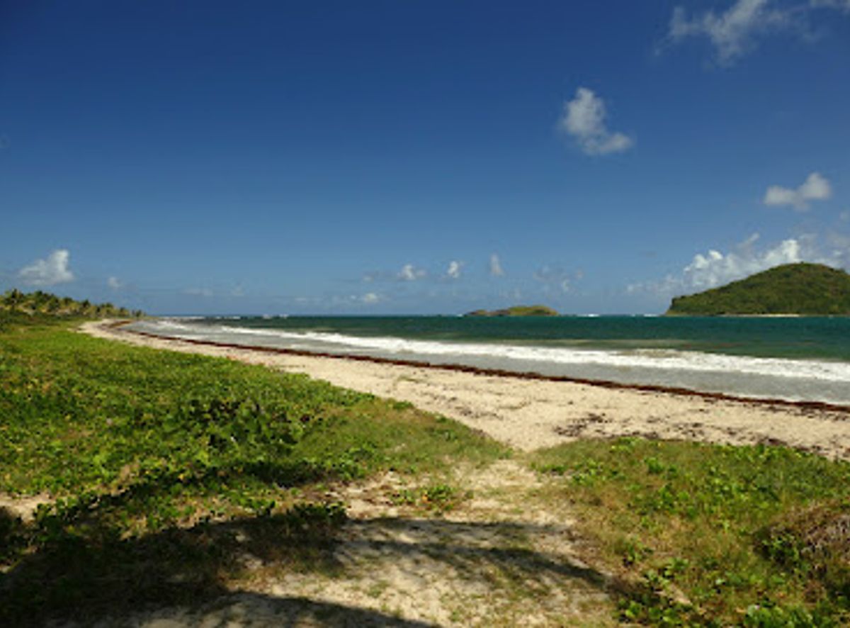 Background