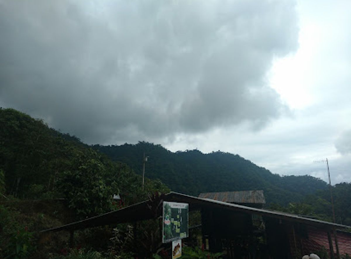 Background
