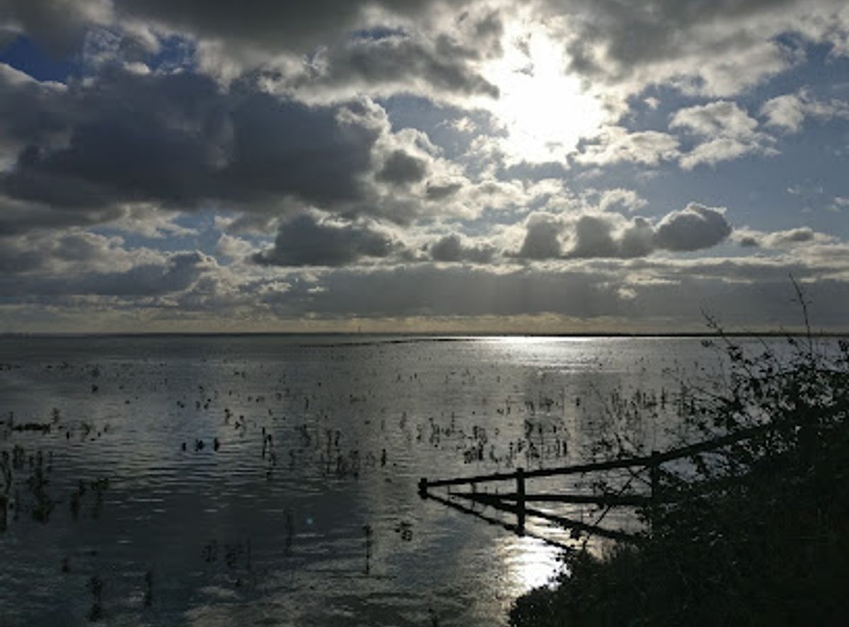 Two Tree Island Nature Reserve, Essex