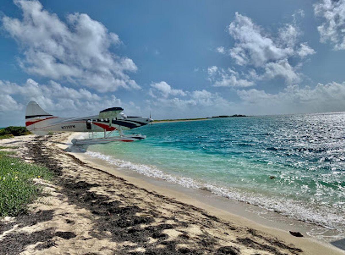 Background