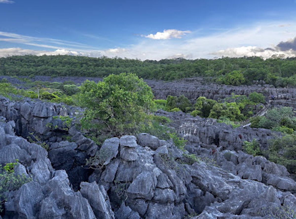 Background
