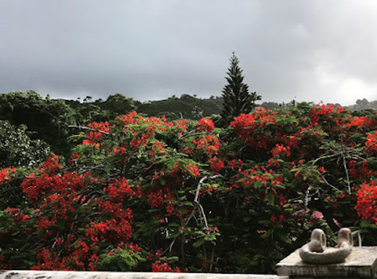 Background