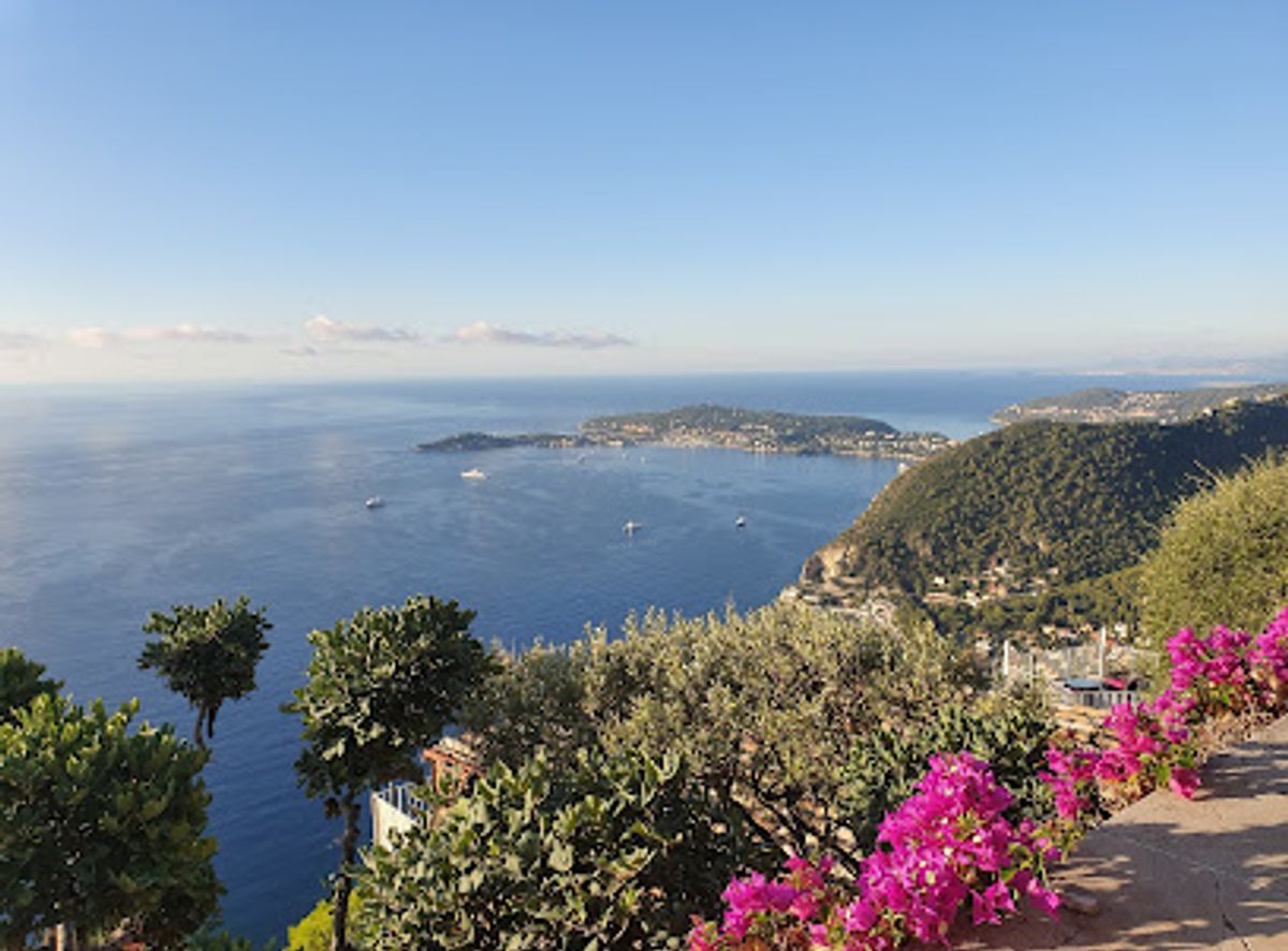 Background