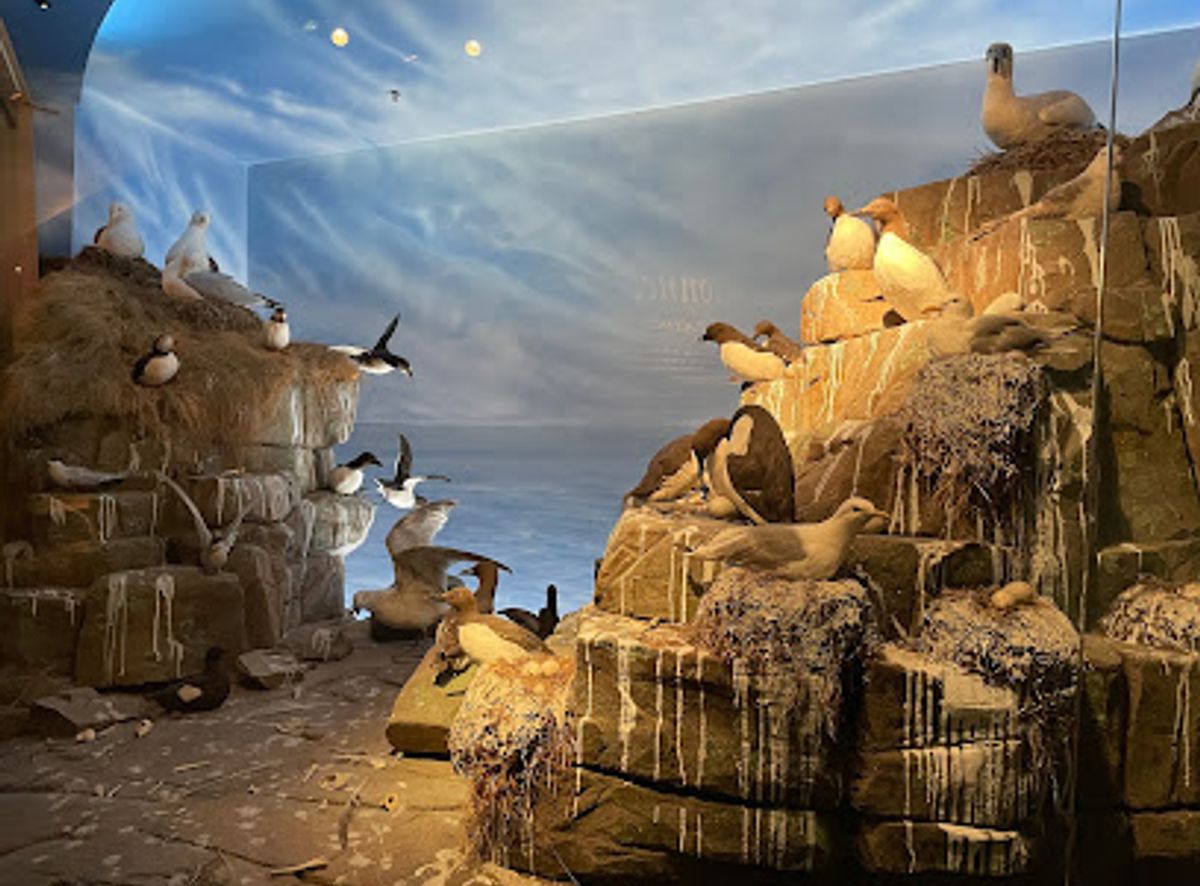 Background