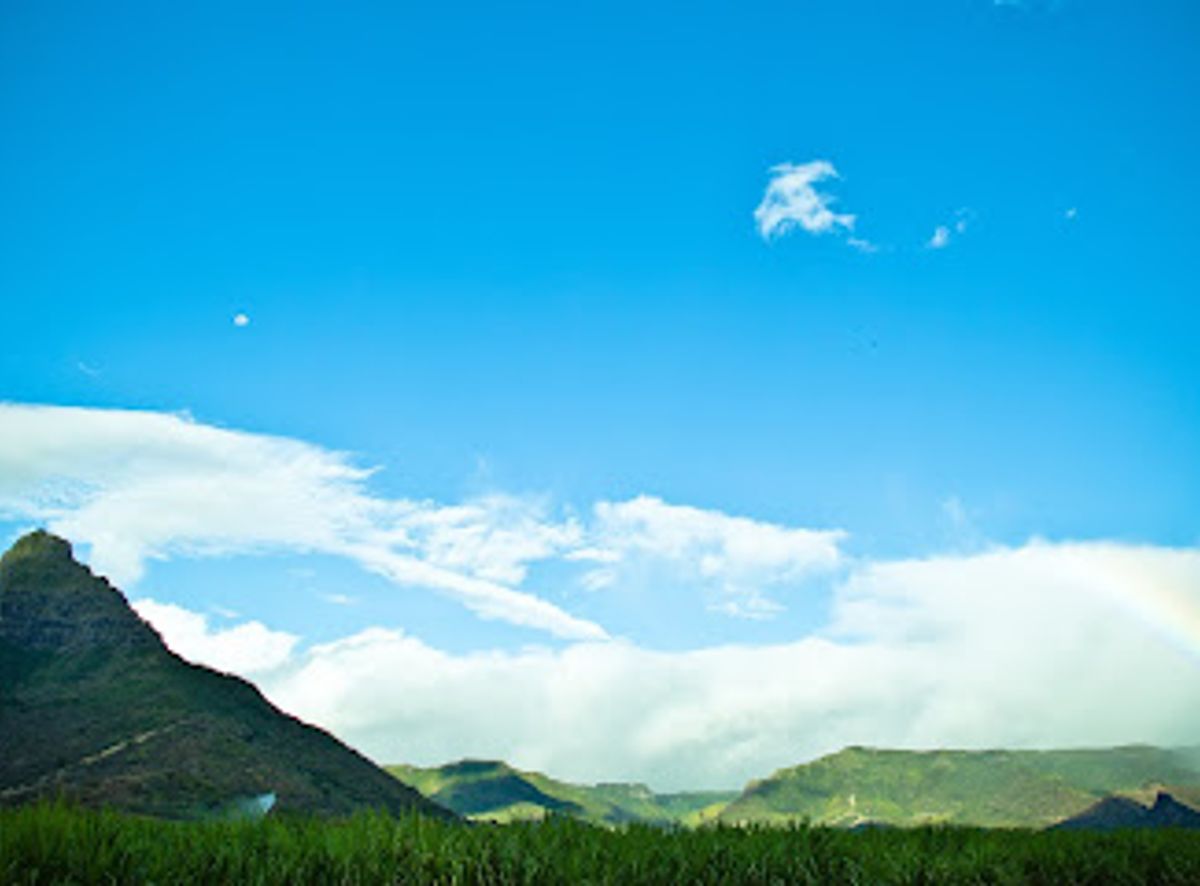 Background