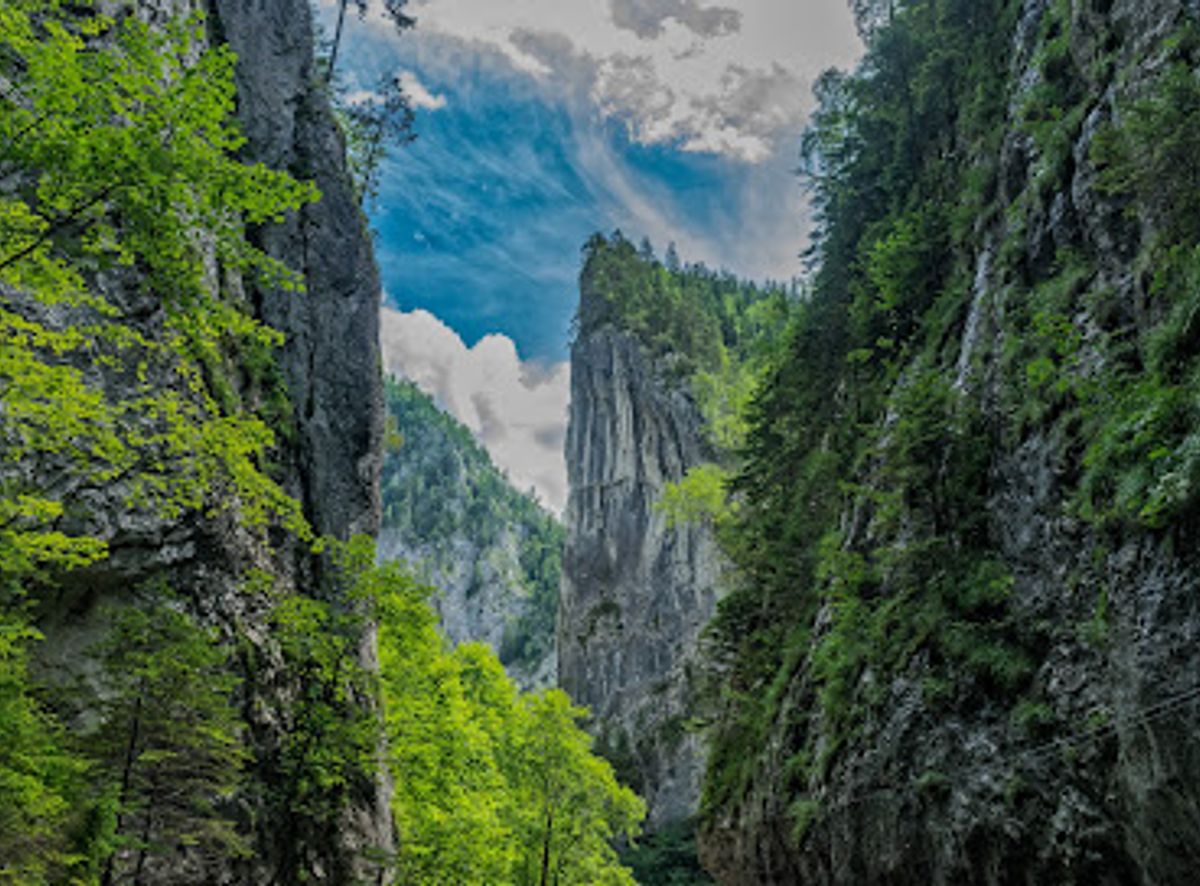 Background