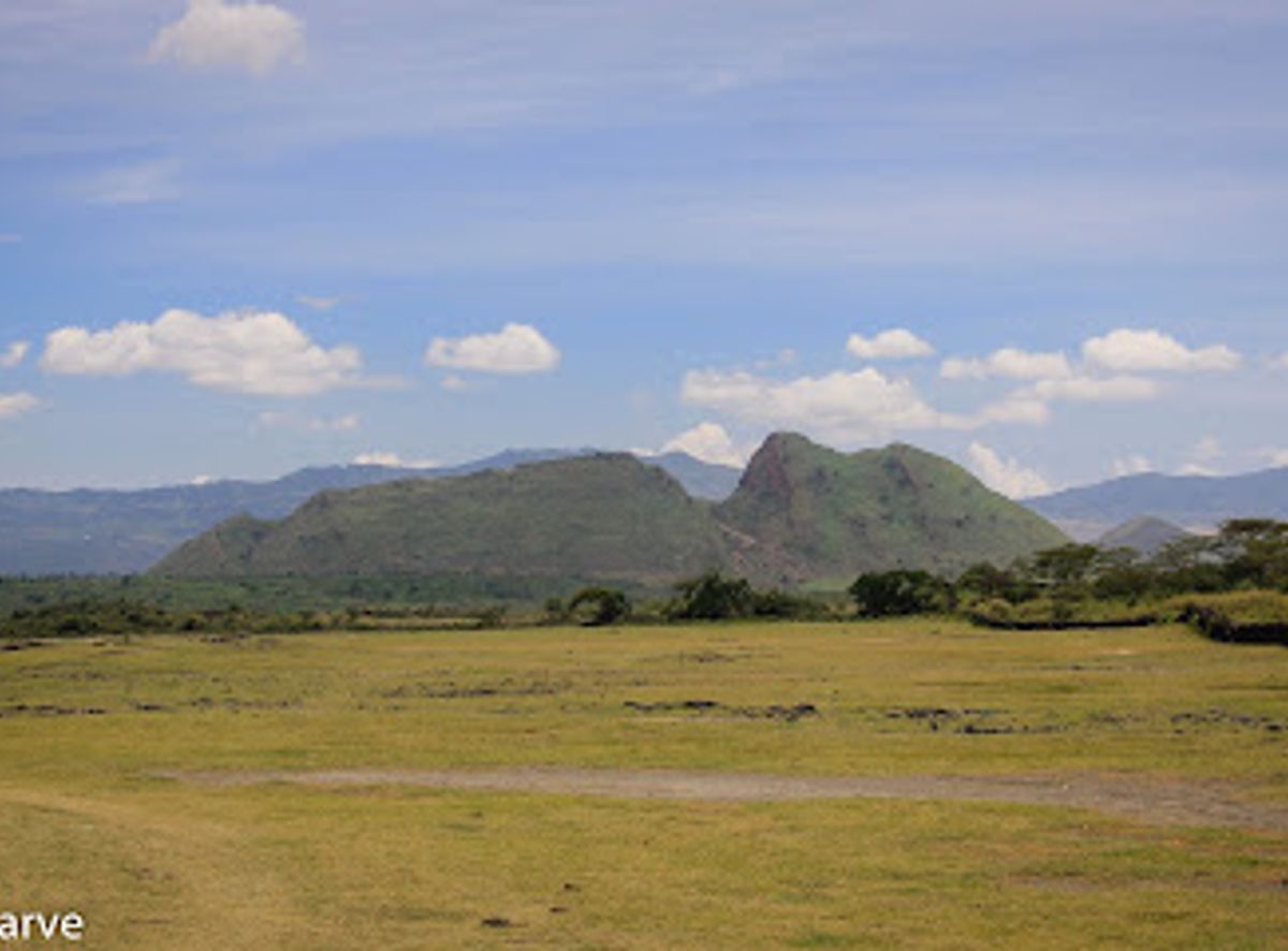 Background