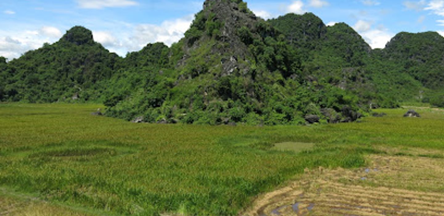 Background