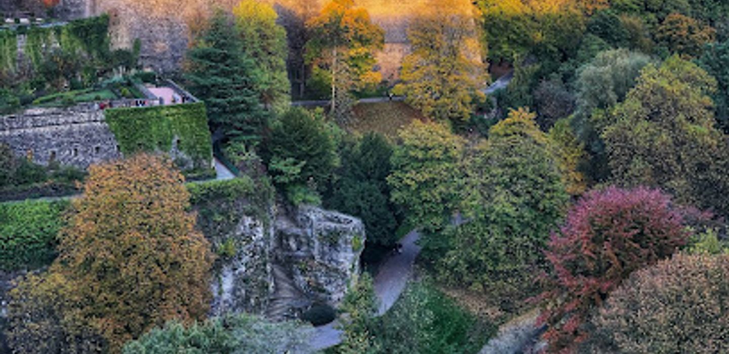 Background