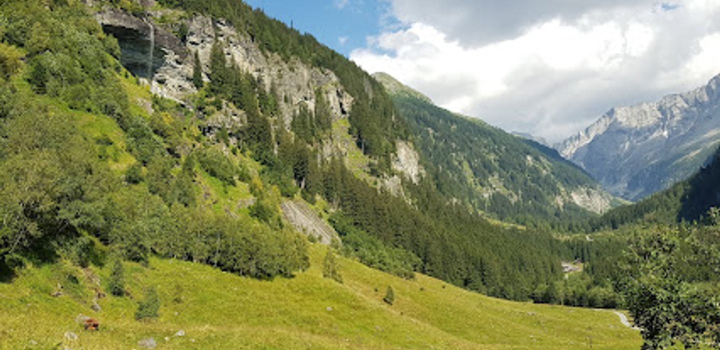 Background