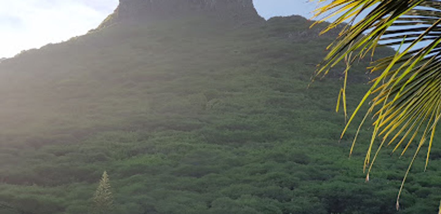 Background