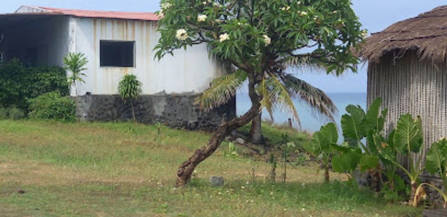 Background