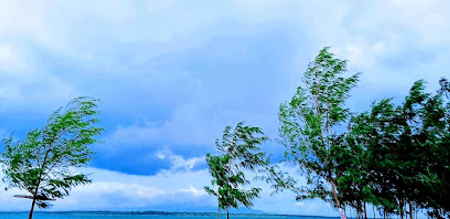 Background