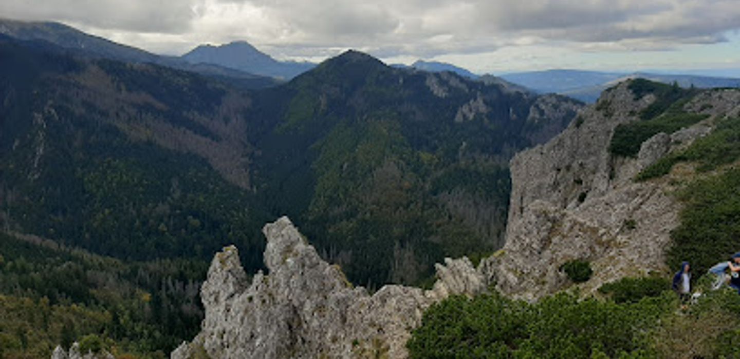 Background