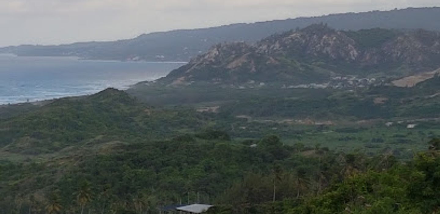 Cherry Tree Hill