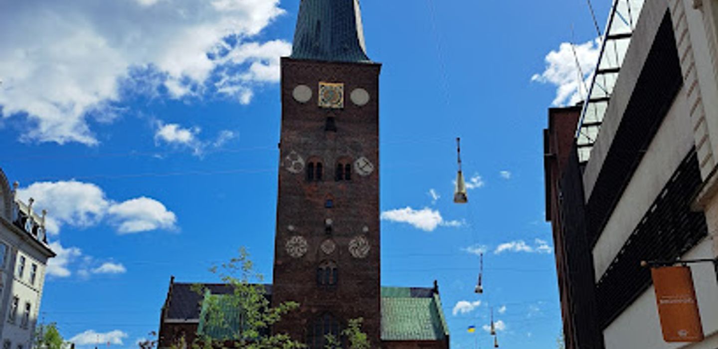 Viking Museum
