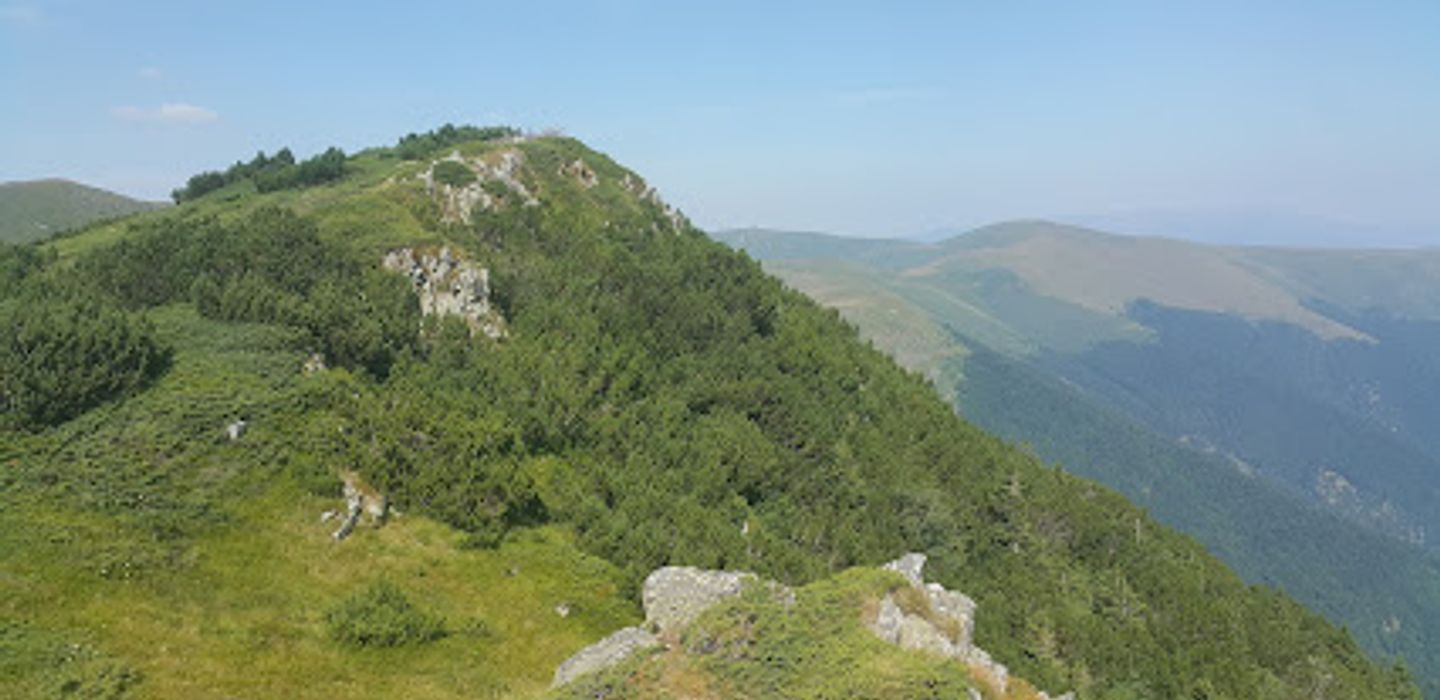 Background